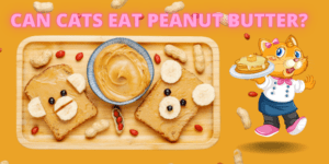 can cats eat peanut butter